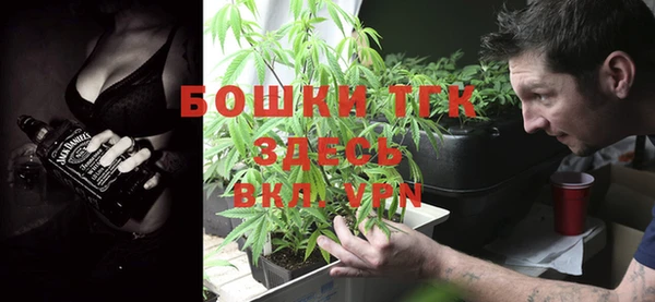 твердый Абаза
