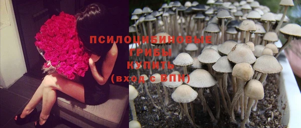 ГАЛЛЮЦИНОГЕННЫЕ ГРИБЫ Алексин