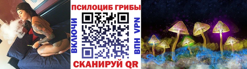 Псилоцибиновые грибы Magic Shrooms где можно купить наркотик Брюховецкая